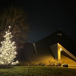 In der Dunkelheit leuchtender Weihnachtsbaum an der Kirche St. Jakobus Lindenholzhausen.