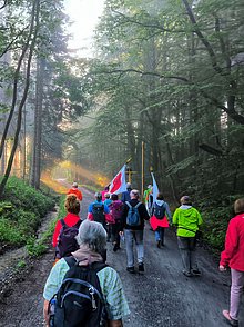 Wallfahrer von hinten, die auf einem Weg durch Waldgebiet pilgern.