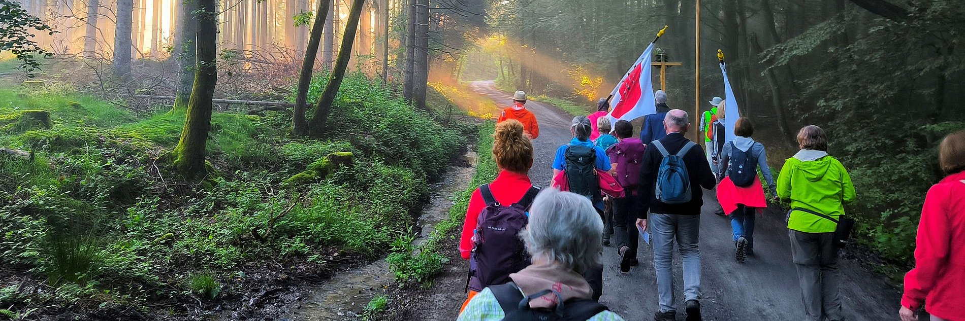 Wallfahrer von hinten, die auf einem Weg durch Waldgebiet pilgern.